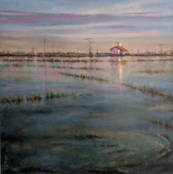 Invierno en la Albufera